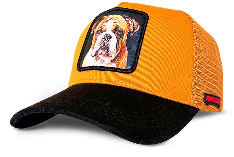 English Bulldog Cap