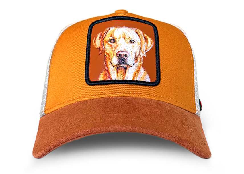 Labrador Cap