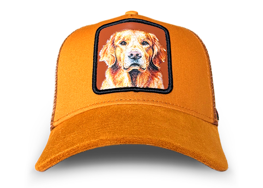 Golden Retriever Cap